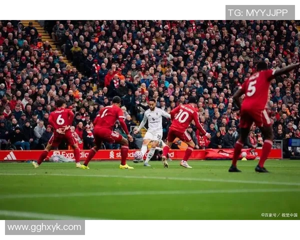 西汉姆联主场迎战谢尔德联期待精彩对决与胜利之战