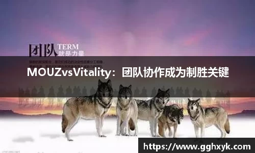 MOUZvsVitality：团队协作成为制胜关键