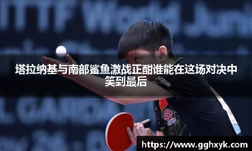 塔拉纳基与南部鲨鱼激战正酣谁能在这场对决中笑到最后