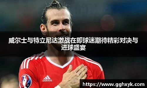 威尔士与特立尼达激战在即球迷期待精彩对决与进球盛宴